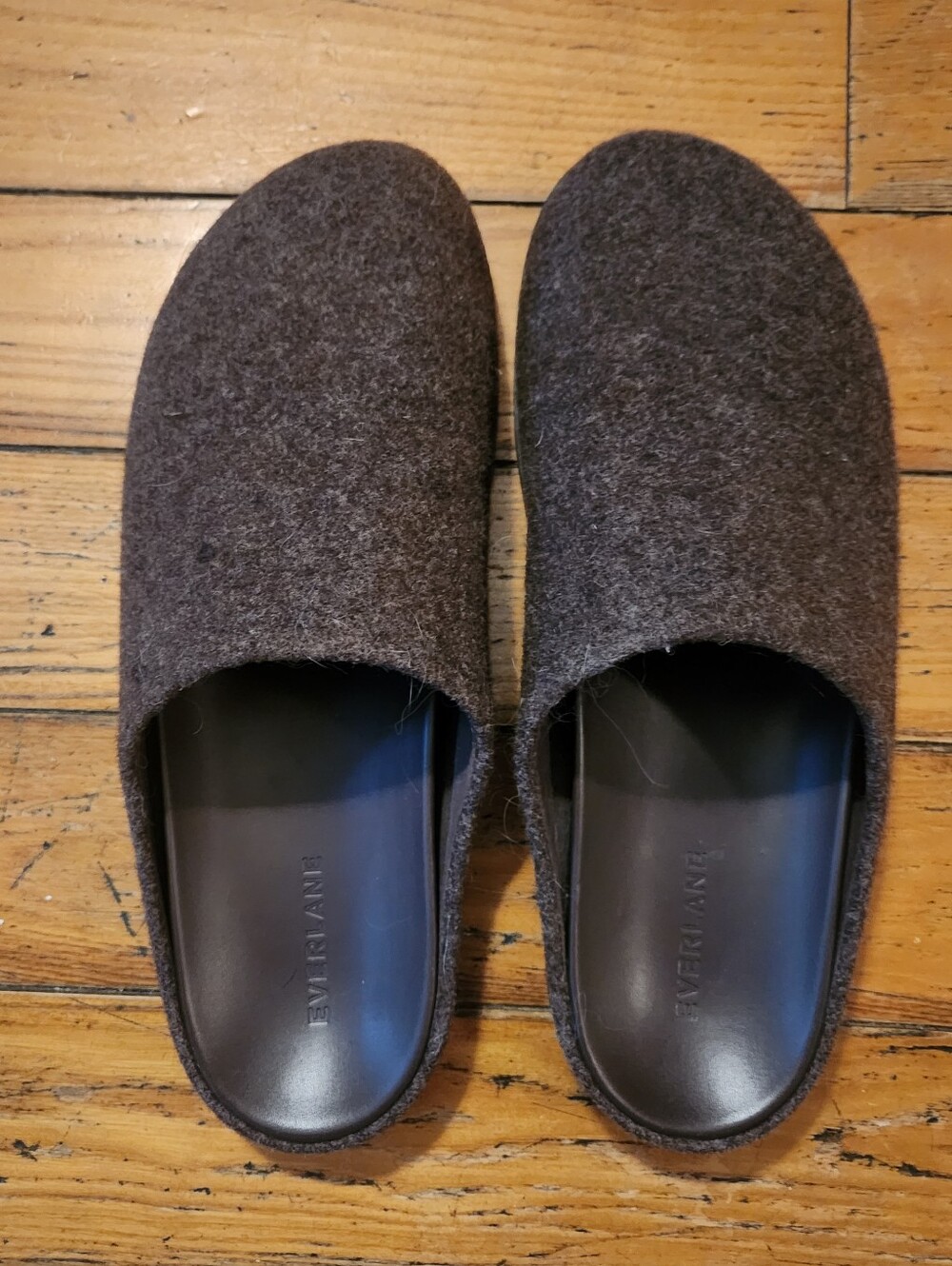 Everlane Wool Clogs in Cocoa Sz 10.5